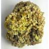 Mimétite et Wulfénite