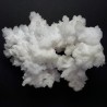 Aragonite