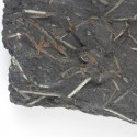 Andalousite