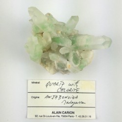 Quartz et Chlorite