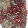 Vanadinite