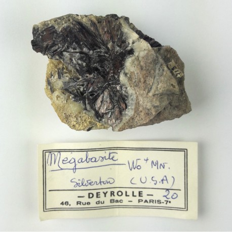 Megabasite