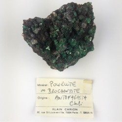 Powellite et Brochantite