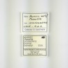 Proustite et Arsenic