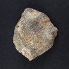 Gilbertite