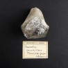 Chlorite Quartz