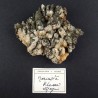 Marcassite