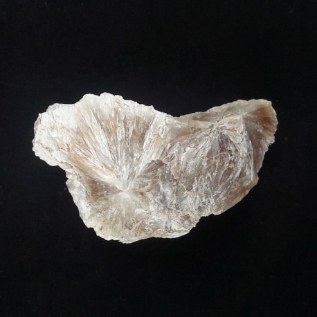 Veatchite et Ulexite