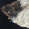 Chalcopyrite