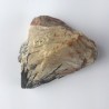 Pyrolusite dans Baryte