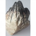 Pyrolusite dans Baryte