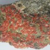 Clinoptilolite