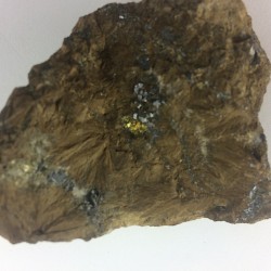 Bustamite