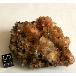 Creedite