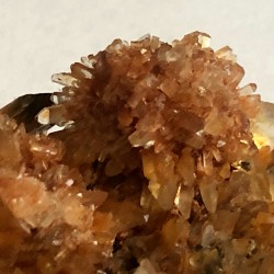 Creedite