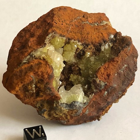 Adamite Adamite