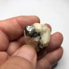 Carrolite