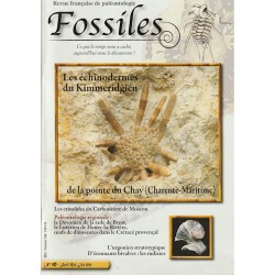 Fossiles N°10