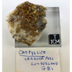 Campyllite