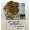 Campyllite