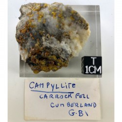 Campyllite
