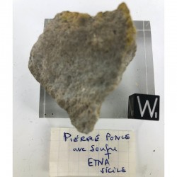 Pumice Stone