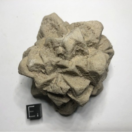 Pseudomorphose Grès après Calcite