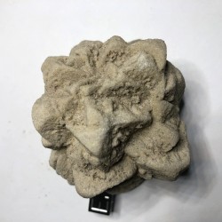 Pseudomorphose Grès après Calcite