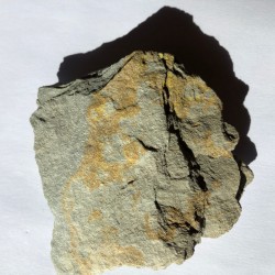 Haynesite