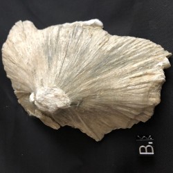 Ulexite