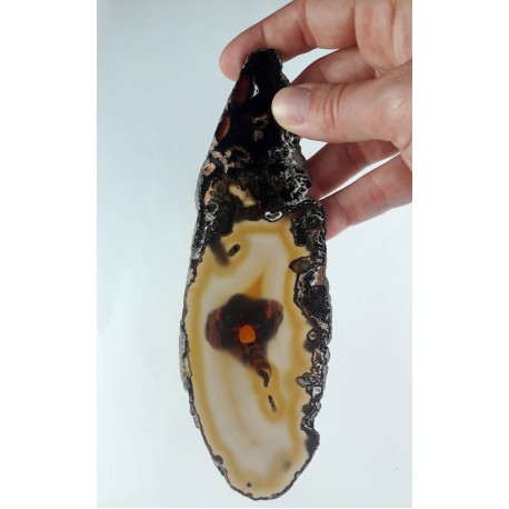 Agate Agate