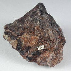 Neotokite