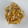 Wulfenite