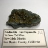 Grenat Andradite (Topazolite)