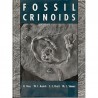 Fossil Crinoids