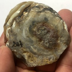 Calcédoine