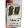 Bélemnite choquée