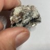 Muscovite