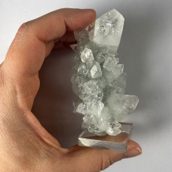 Apophyllite