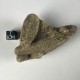 Sand-Stone Pseudomorphosis