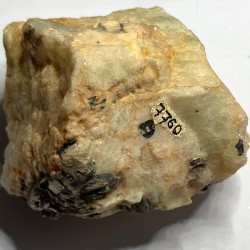 Muscovite