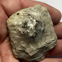 Paragonite