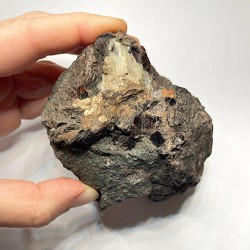 Manganophyllite