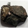 Manganophyllite