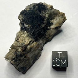 Gadolinite