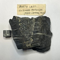 Pyrite