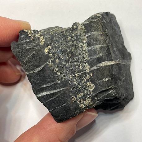 Pyrite Pyrite