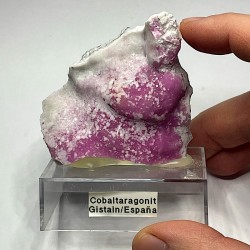Cobalt and aragonite
