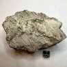 Batrachite