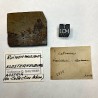 Ruiniform Marble